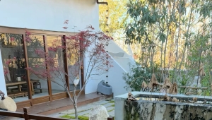 艺术系熟女一枚